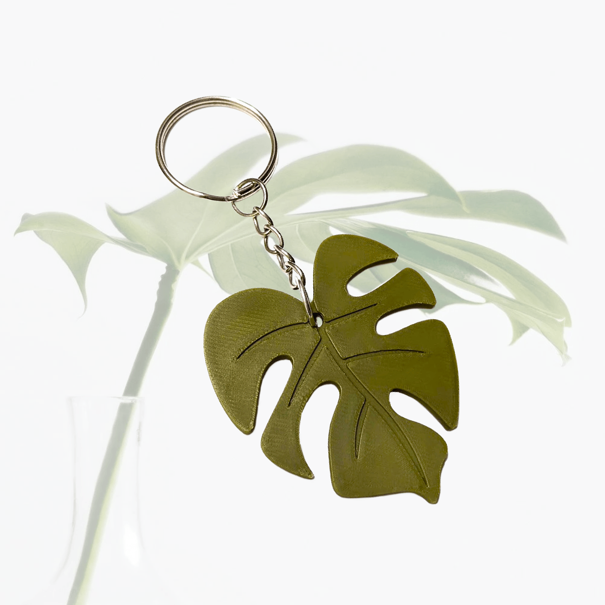 Monstera Albo